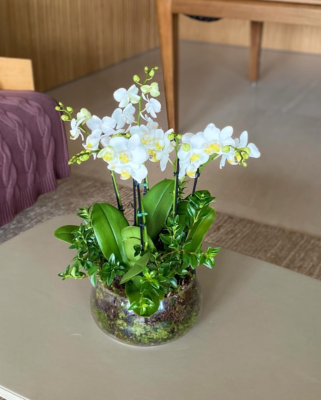 Arranjo mini Orquídeas brancas