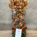 CYMBIDIUM TERRA
